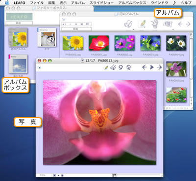 ��{��ʃX�N���[���V���b�g