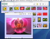 �X�^���_�[�h